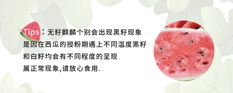 4b974cb978f34c62.jpg