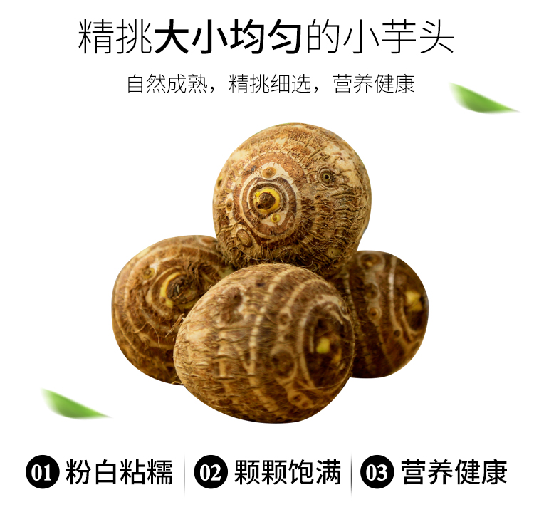 b755def8b79975c3.jpg